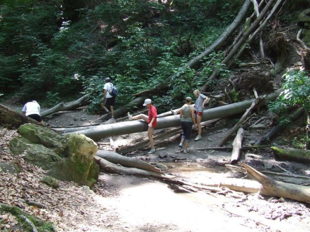DSCF0129 (Medium)